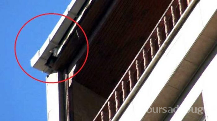 Kurtarmak için tüm yolları denediler ama olmadı 