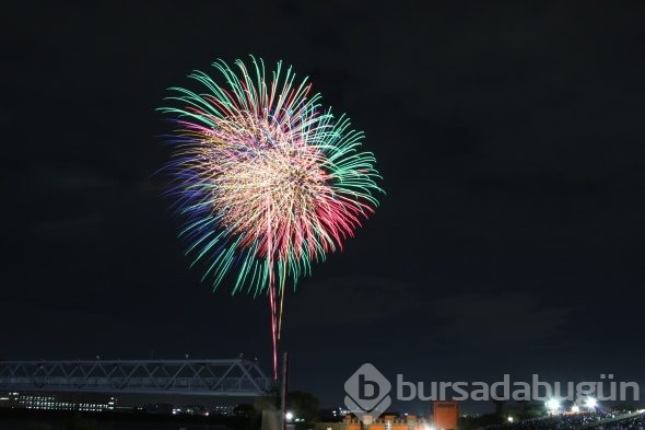 Tokyo'da havai fişek festivalinden renkli görüntüler