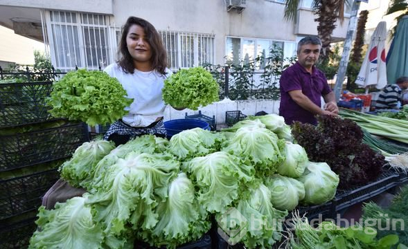 Halter şampiyonluğu kovalayan Seher pazarda marul satıyor