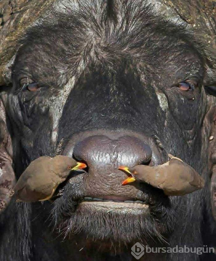 Günün en çok paylaşılan fotoğrafları