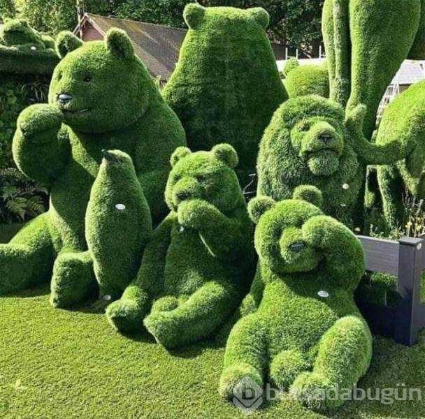 Günün en çok paylaşılan fotoğrafları