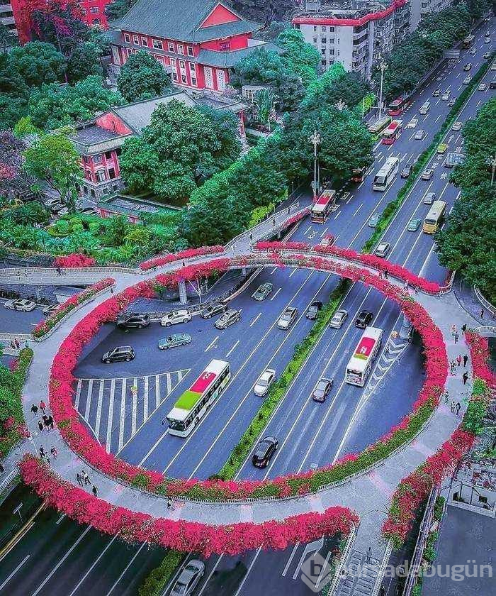 Günün en çok paylaşılan fotoğrafları