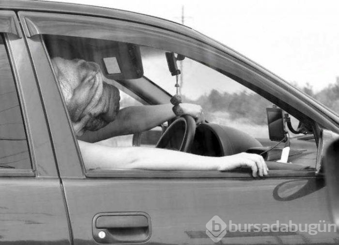 Günün en çok paylaşılan fotoğrafları