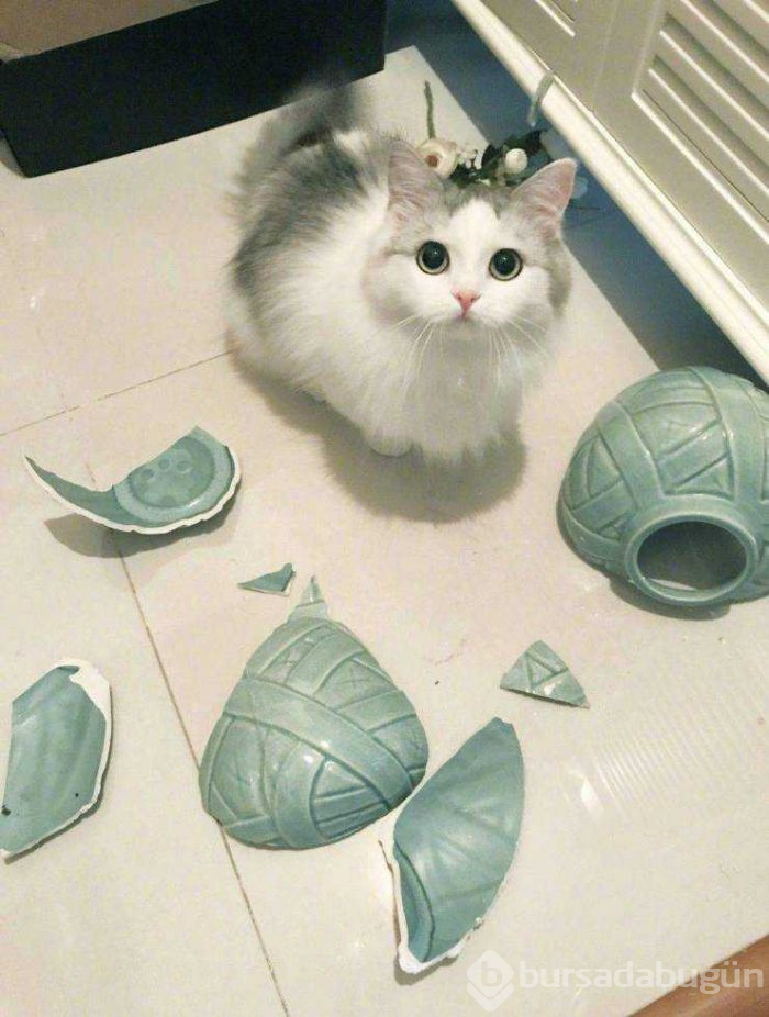 Günün en çok paylaşılan fotoğrafları