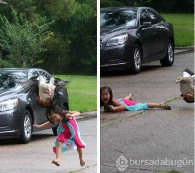 Günün en çok paylaşılan fotoğrafları