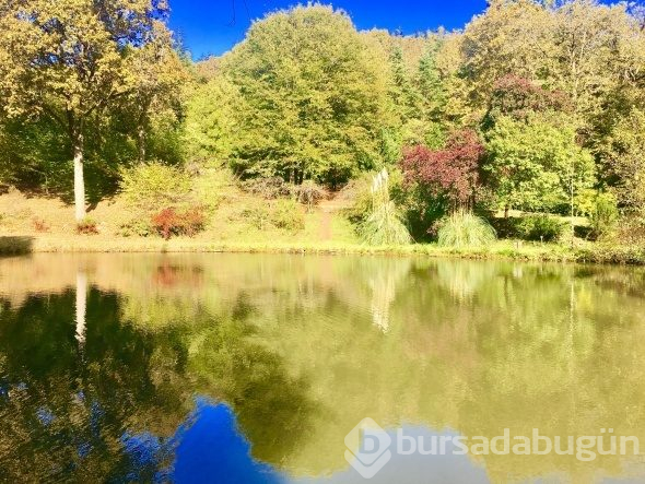 Atatürk Arboretumu'nda ziyaretçi akını