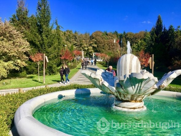 Atatürk Arboretumu'nda ziyaretçi akını