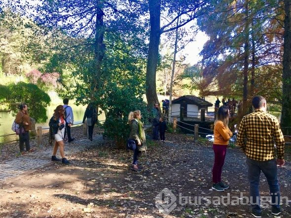 Atatürk Arboretumu'nda ziyaretçi akını