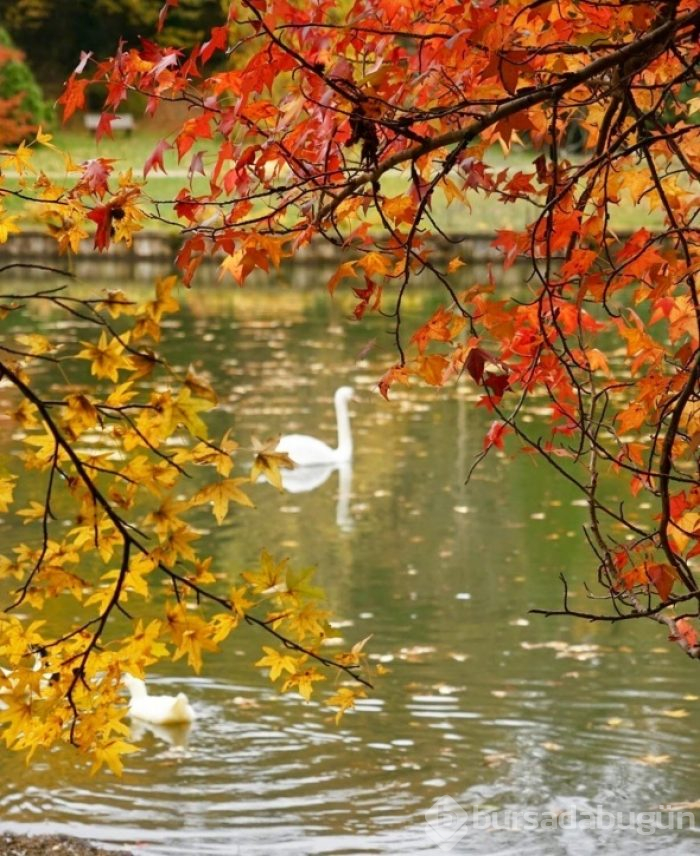 Atatürk Arboretumu'nda ziyaretçi akını