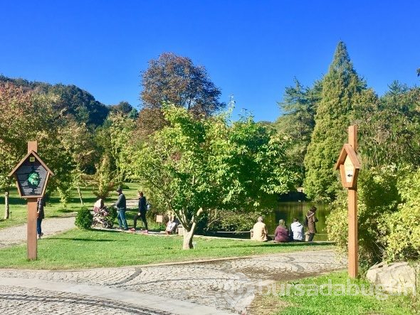 Atatürk Arboretumu'nda ziyaretçi akını