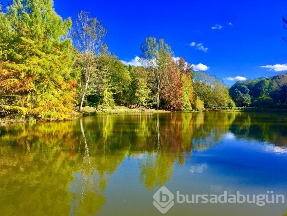 Atatürk Arboretumu'nda ziyaretçi akını