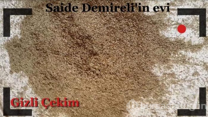 'Ölüm Patroniçesi' liderliğindeki çete yakalandı