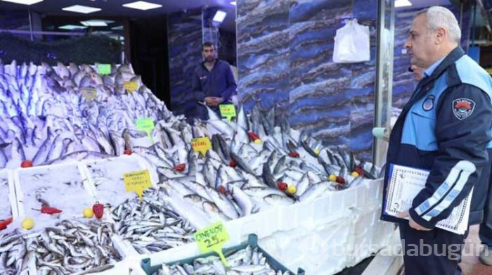 Balıkçılardaki mavi ışığın sırrı çözüldü