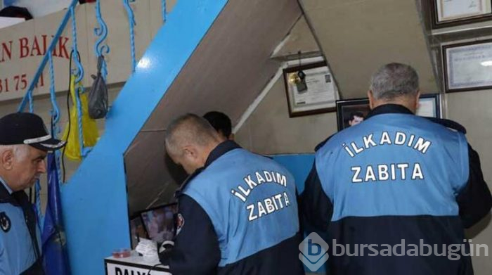 Balıkçılardaki mavi ışığın sırrı çözüldü