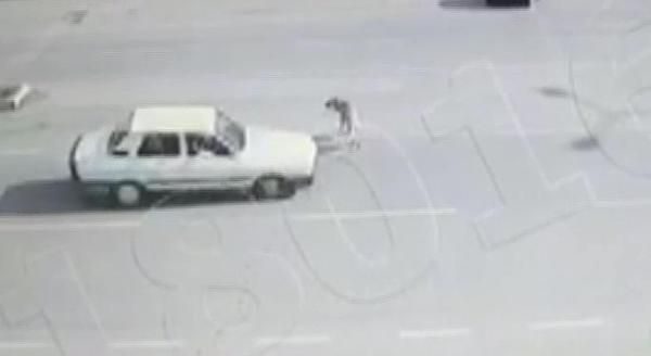 Köpeğe çarpmamak için fren yaptı!
