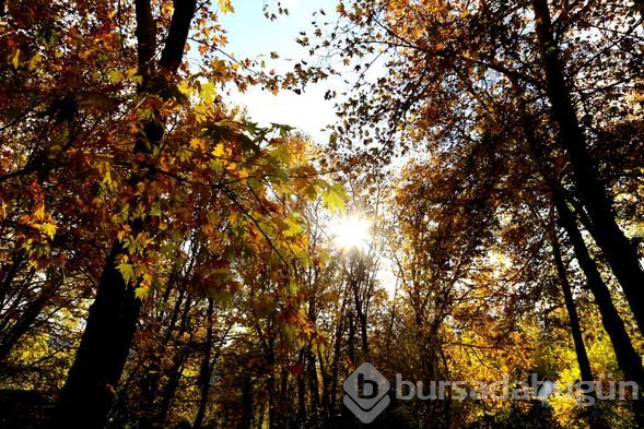 Antalya tüm güzelliğini gözler önüne serdi