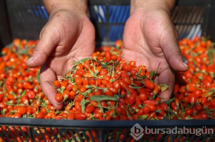 'Bunu kimse yemez' dediler!