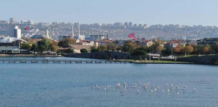 Büyükçekmece Gölü'nün sürpriz konukları
