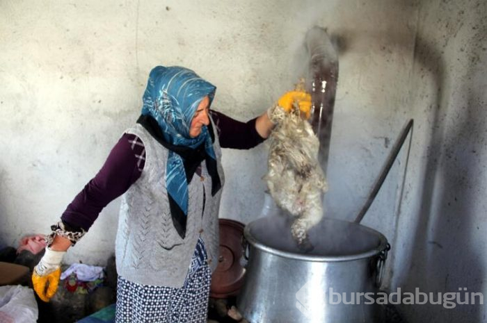 Karın yağmasıyla birlikte kazlar kesilmeye başlandı