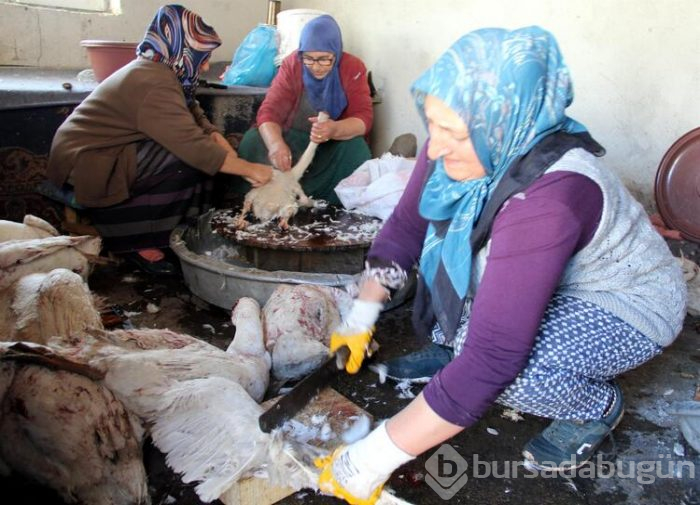 Karın yağmasıyla birlikte kazlar kesilmeye başlandı