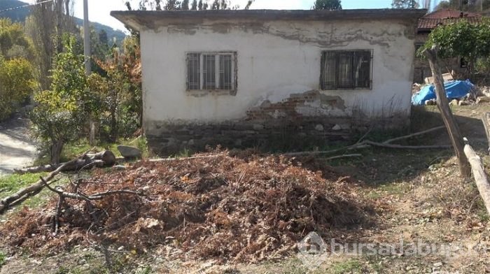 Daha lezzetli olması için fabrikaya gönderiliyor