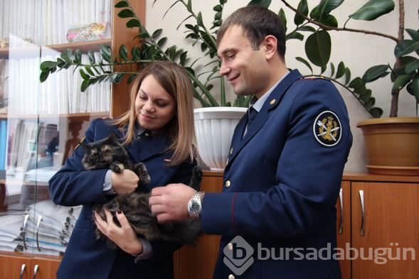 Uyuşturucu kuryesi kediye yuva arıyorlar!