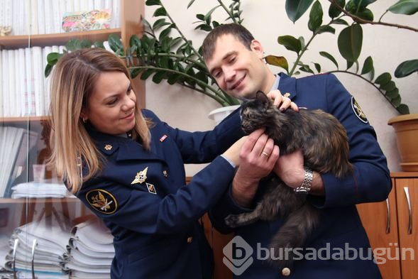 Uyuşturucu kuryesi kediye yuva arıyorlar!