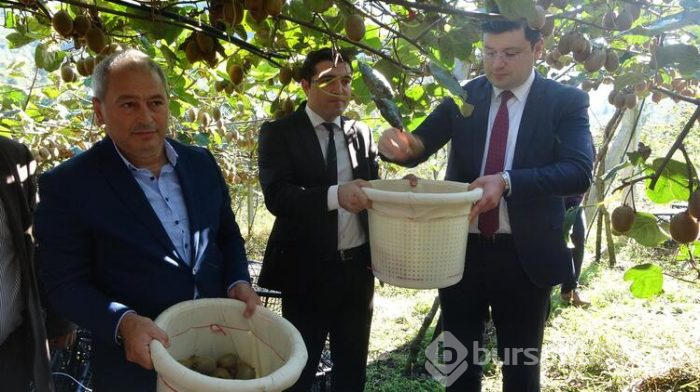 Üreticilerin kividen beklentisi yüksek
