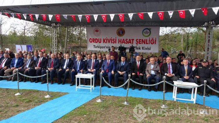 Üreticilerin kividen beklentisi yüksek
