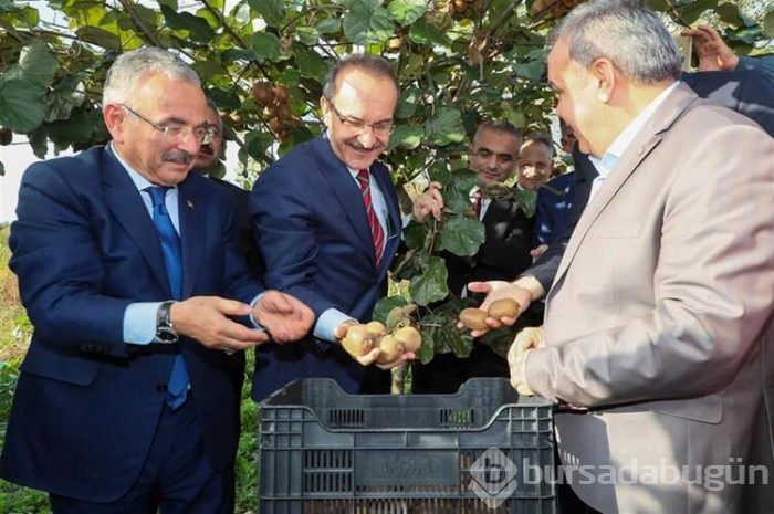 Üreticilerin kividen beklentisi yüksek
