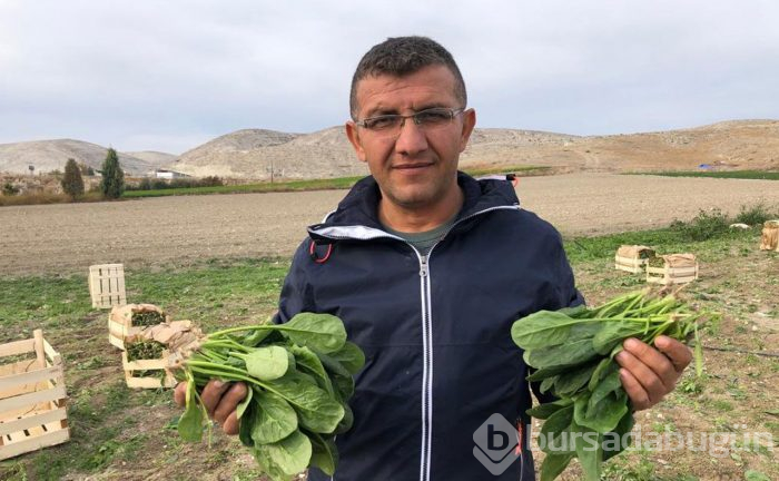 Zehirli ıspanak Müjdat Gezen'i de hastanelik etti!
