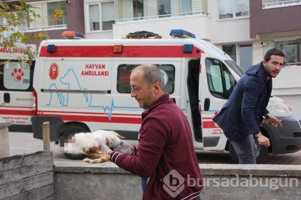 Bolu'da akılalmaz canilik!