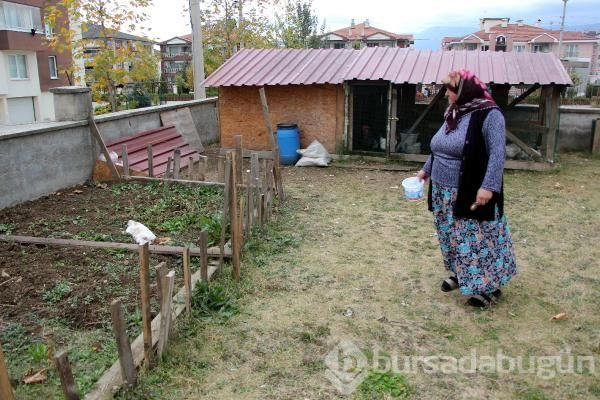 Bolu'da akılalmaz canilik!