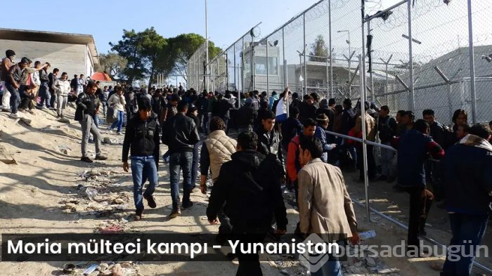 Yunanlı gazeteci: "Türkiye'deki mülteci kamplarını görünce ülkemdeki durumdan utanç duydum"
