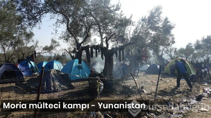 Yunanlı gazeteci: "Türkiye'deki mülteci kamplarını görünce ülkemdeki durumdan utanç duydum"
