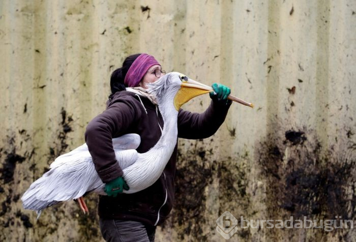 12 fotoğrafla dünyayı gezin...