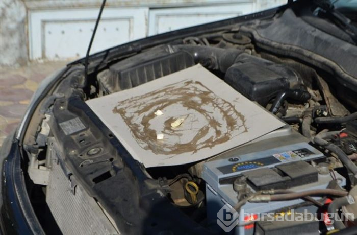Aracına kapan kurdu! 5 gündür farenin gelmesini bekliyor