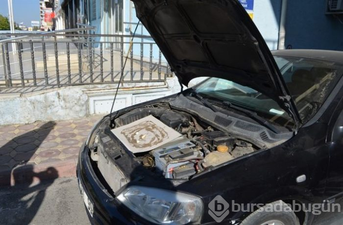 Aracına kapan kurdu! 5 gündür farenin gelmesini bekliyor