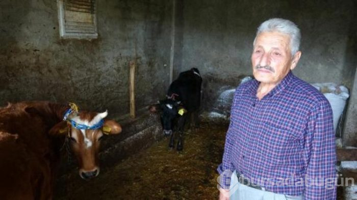 Trabzon'da ürküten olay! 30'u da öldü!