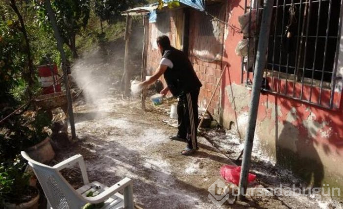 Trabzon'da ürküten olay! 30'u da öldü!