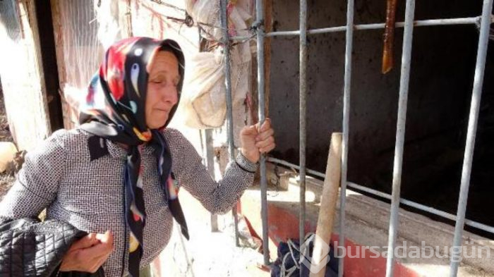 Trabzon'da ürküten olay! 30'u da öldü!