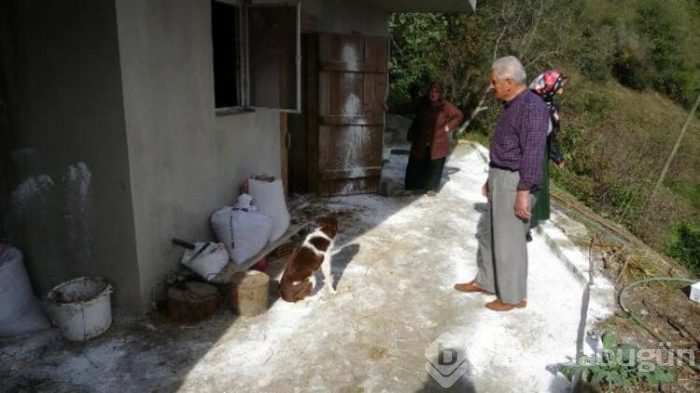 Trabzon'da ürküten olay! 30'u da öldü!
