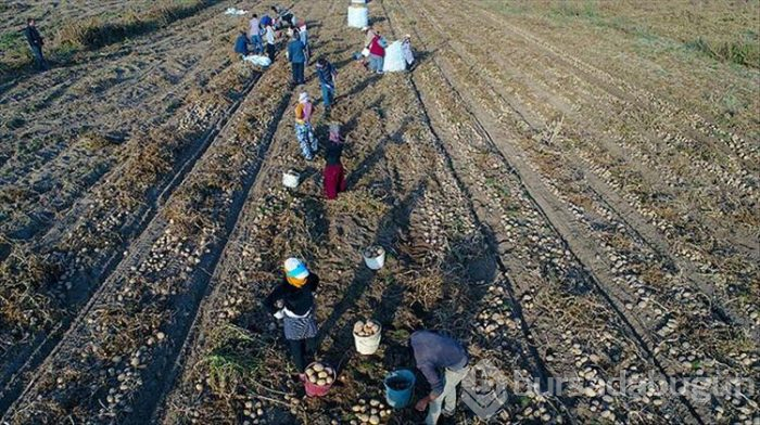 Milyonları ilgilendiriyor... Gelir yükselecek!