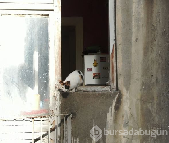 4 kardeşin öldüğü ev görüntülendi