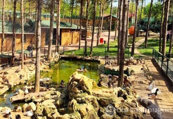 Park of İstanbul'da macera ve eğlence dolu saatler!