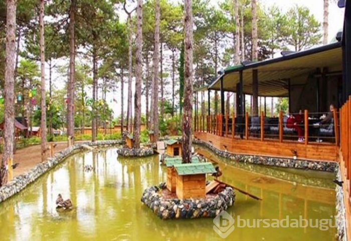 Park of İstanbul'da macera ve eğlence dolu saatler!