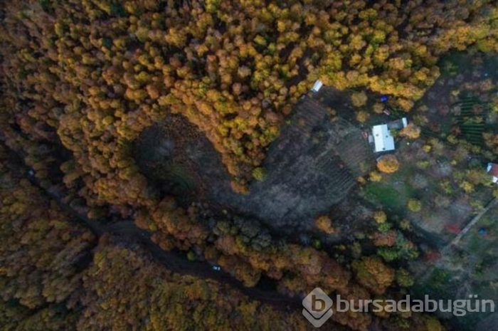 Uludağ sonbaharda da göz kamaştırıyor!