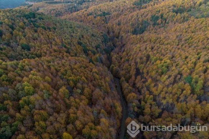 Uludağ sonbaharda da göz kamaştırıyor!