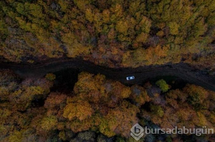 Uludağ sonbaharda da göz kamaştırıyor!