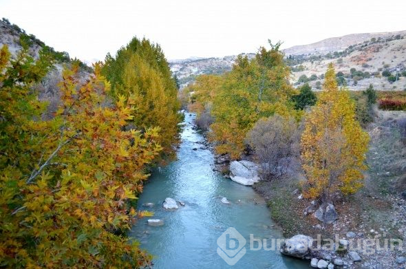 Tağar Köprüsü için Rusya'dan merak edip gelenler var